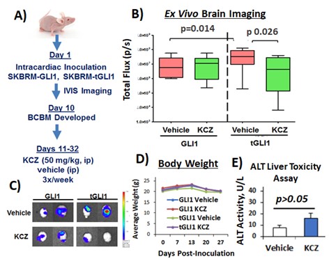 Research Results