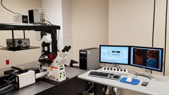 Leica SP2 Confocal Laser Scanning Microscope
